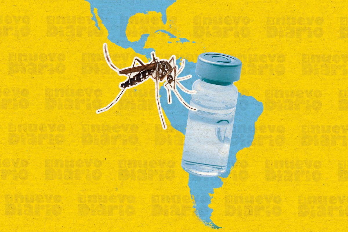 La OMS lanza un plan global para combatir el dengue, que amenaza con extenderse a Europa