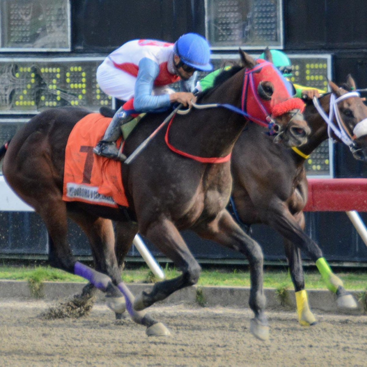 Jinete Jimmy Jiménez gana tres carreras en el Quinto