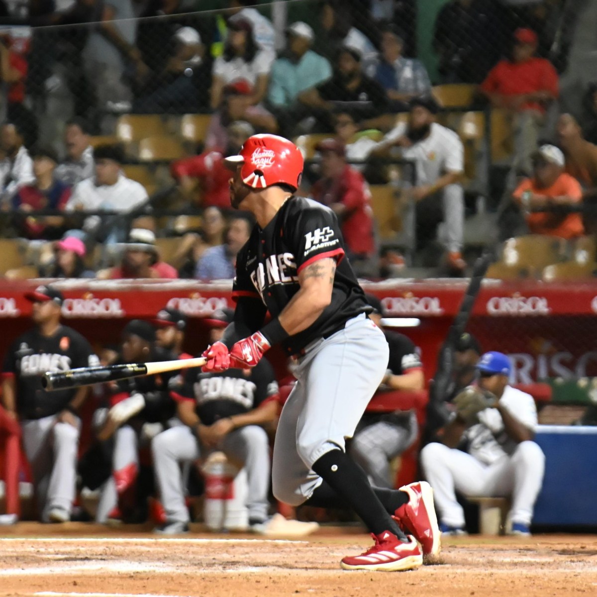 Leones frenan racha de derrotas y se mantienen en el cuarto lugar de Lidom 